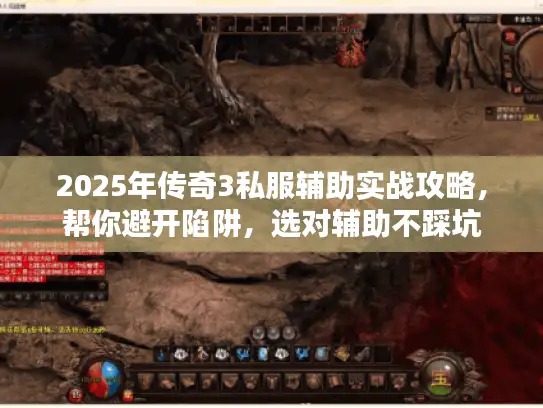 2025年传奇3私服辅助实战攻略，帮你避开陷阱，选对辅助不踩坑