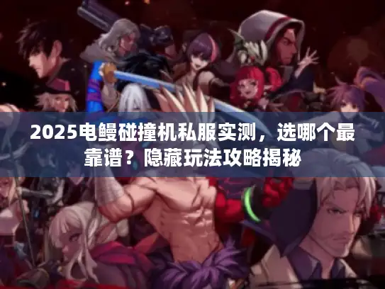 2025电鳗碰撞机私服实测，选哪个最靠谱？隐藏玩法攻略揭秘