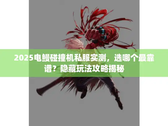 2025电鳗碰撞机私服实测，选哪个最靠谱？隐藏玩法攻略揭秘