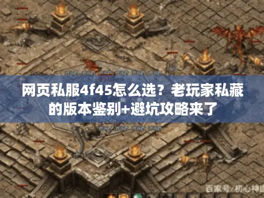 网页私服4f45怎么选？老玩家私藏的版本鉴别+避坑攻略来了