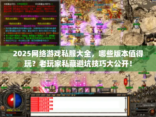 2025网络游戏私服大全，哪些版本值得玩？老玩家私藏避坑技巧大公开！