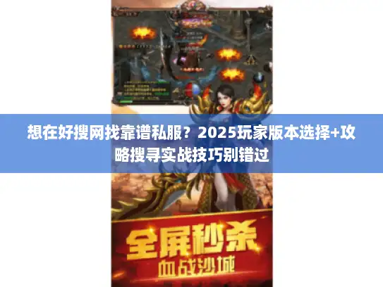 想在好搜网找靠谱私服？2025玩家版本选择+攻略搜寻实战技巧别错过