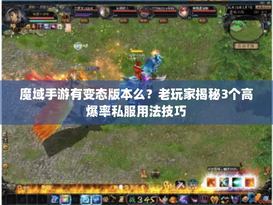 魔域手游有变态版本么？老玩家揭秘3个高爆率私服用法技巧