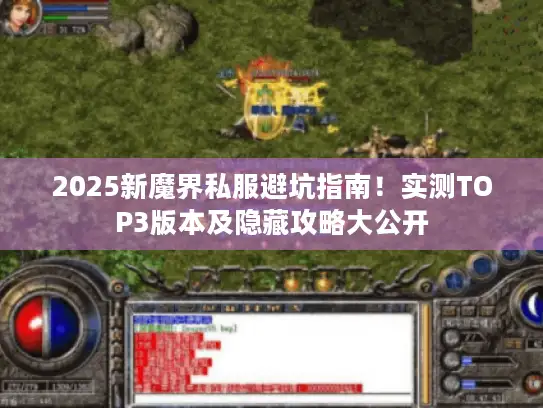 2025新魔界私服避坑指南!实测TOP3版本及隐藏攻略大公开 2025新魔界私服避坑指南!实测TOP3版本及隐藏攻略大公开