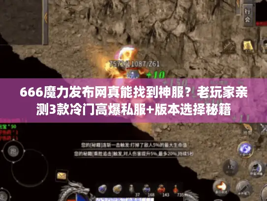 666魔力发布网真能找到神服?老玩家亲测3款冷门高爆私服+版本选择秘籍 666魔力发布网真能找到神服?老玩家亲测3款冷门高爆私服+版本选择秘籍
