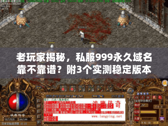 老玩家揭秘，私服999永久域名靠不靠谱？附3个实测稳定版本