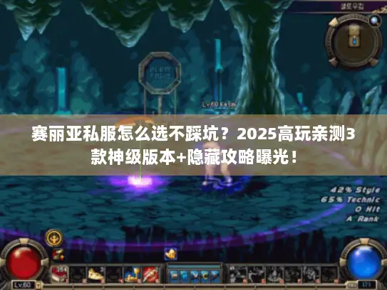 赛丽亚私服怎么选不踩坑？2025高玩亲测3款神级版本+隐藏攻略曝光！