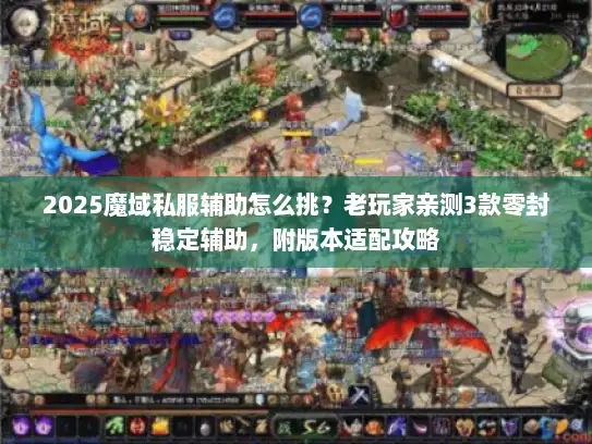2025魔域私服辅助怎么挑？老玩家亲测3款零封稳定辅助，附版本适配攻略