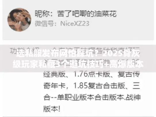 选私服发布网怕踩坑?2025骨灰级玩家私藏3个避坑技巧+高爆版本推荐 选私服发布网怕踩坑?2025骨灰级玩家私藏3个避坑技巧+高爆版本推荐