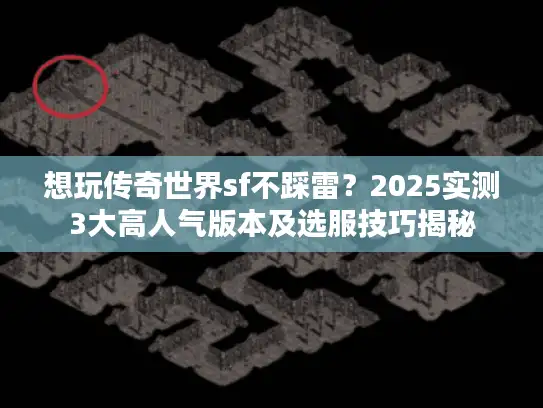 想玩传奇世界sf不踩雷?2025实测3大高人气版本及选服技巧揭秘 想玩传奇世界sf不踩雷?2025实测3大高人气版本及选服技巧揭秘