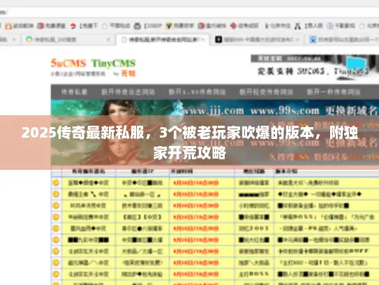 2025传奇最新私服，3个被老玩家吹爆的版本，附独家开荒攻略