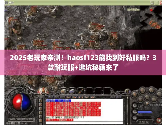 2025老玩家亲测！haosf123能找到好私服吗？3款耐玩服+避坑秘籍来了
