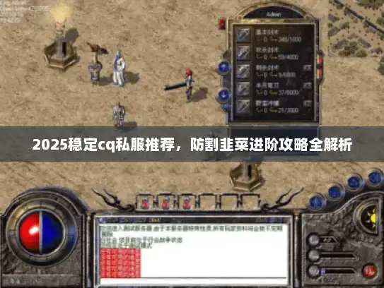 2025稳定cq私服推荐，防割韭菜进阶攻略全解析