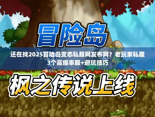 还在找2025冒险岛变态私服网发布网？老玩家私藏3个高爆率服+避坑技巧