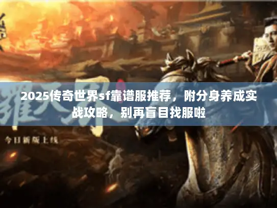 2025传奇世界sf靠谱服推荐，附分身养成实战攻略，别再盲目找服啦