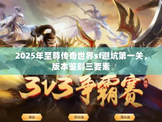 2025年至尊传奇世界sf避坑第一关，版本鉴别三要素