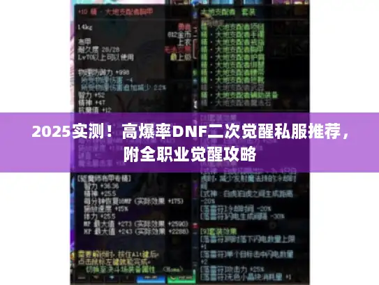 2025实测！高爆率DNF二次觉醒私服推荐，附全职业觉醒攻略