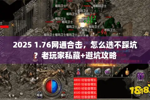 2025 1.76网通合击，怎么选不踩坑？老玩家私藏+避坑攻略
