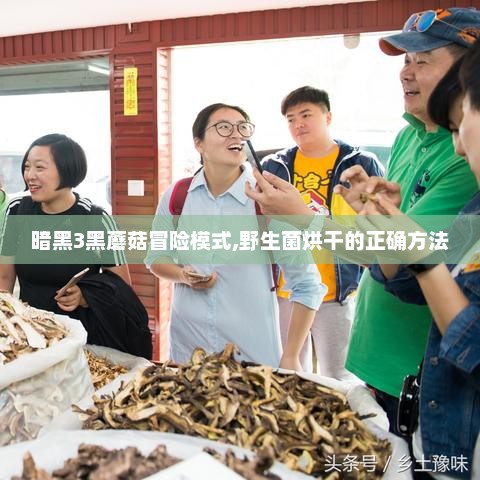 暗黑3黑蘑菇冒险模式,野生菌烘干的正确方法 暗黑3黑蘑菇冒险模式,野生菌烘干的正确方法