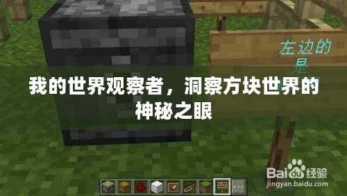 我的世界观察者，洞察方块世界的神秘之眼