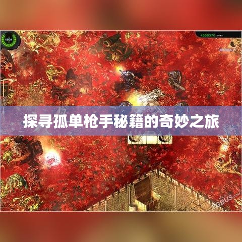 探寻孤单枪手秘籍的奇妙之旅