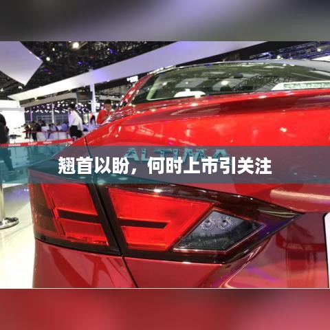 翘首以盼，何时上市引关注