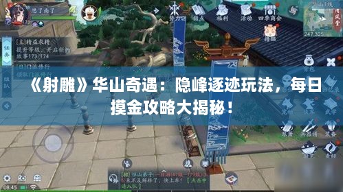 《射雕》华山奇遇：隐峰逐迹玩法，每日摸金攻略大揭秘！