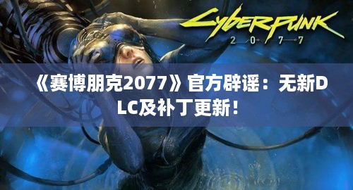 《赛博朋克2077》官方辟谣:无新DLC及补丁更新! 《赛博朋克2077》官方辟谣:无新DLC及补丁更新!