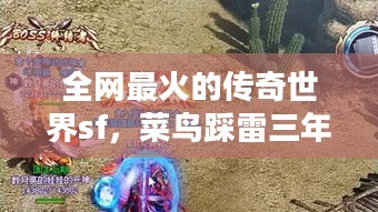 全网最火的传奇世界sf，菜鸟踩雷三年，暴爽秘诀在这