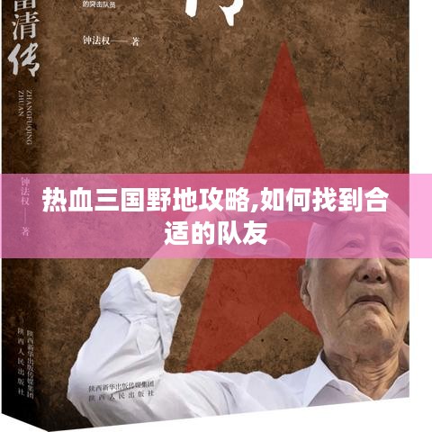 热血三国野地攻略,如何找到合适的队友