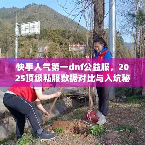 快手人气第一dnf公益服，2025顶级私服数据对比与入坑秘技