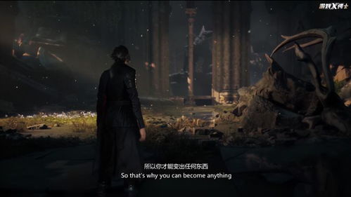 《失落之魂》版本对比：深度解析各版本差异