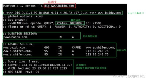 百度人气第一魔域私服真的稳吗？老鸟亲测避开三大坑的硬核方案