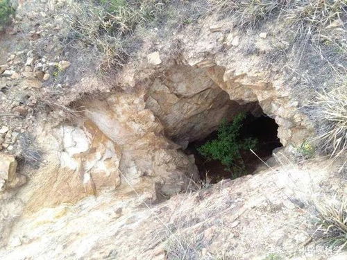 五人金兜洞, 效率怎么样 五人金兜洞, 效率怎么样