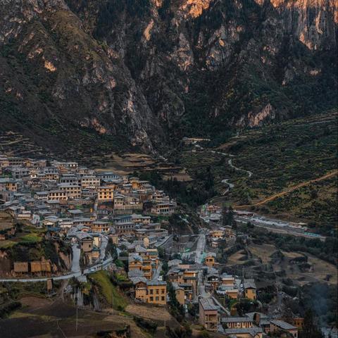 洛克王国大战僵尸