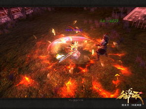 御龙在天新手卡,怎么得到豪华奖励？