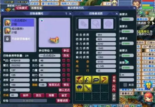 梦幻西游最新合宠技巧分享,老玩家教你少走弯路! 梦幻西游最新合宠技巧分享,老玩家教你少走弯路!