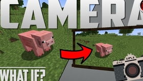 629小游戏, 哪个最适合我 629小游戏, 哪个最适合我