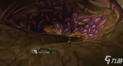 怀旧服塞纳里奥议会声望速刷全攻略