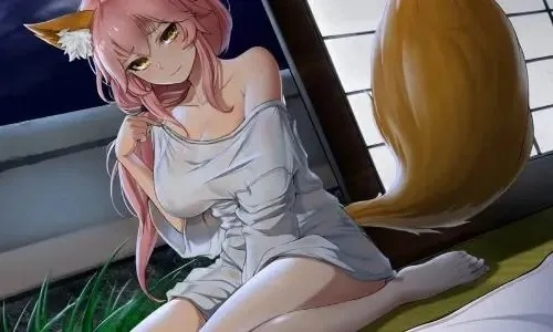 狐狸汉化组游戏合集, 哪个游戏让你觉得最值得推荐 狐狸汉化组游戏合集, 哪个游戏让你觉得最值得推荐