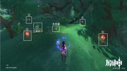 《原神》寻星之旅揭秘：第一天未来星位置攻略，轻松解锁！