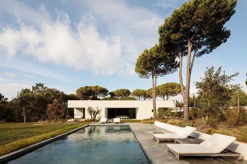 传奇sf散人推荐，为什么散人总踩坑？2025年避雷秘籍揭秘