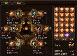 天龙八部sf排行，如何快速筛选最佳私服不踩雷？