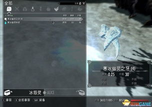 《上古卷轴》人形生物图鉴：全面解析，深度攻略指南