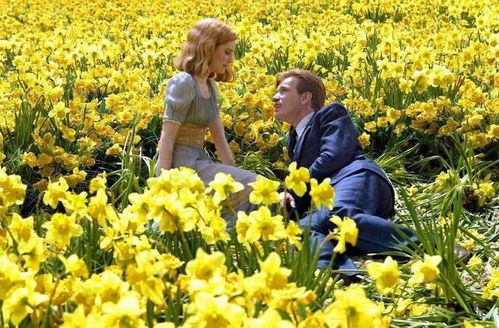 免费影视背后，野花影视大全在线观看免费高清的陷阱与警示