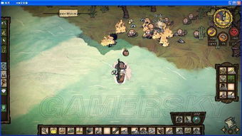 《饥荒》海难海盗船长生存攻略：掌握技巧，轻松成为海上霸主