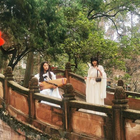 《街头霸王》角色进化揭秘：历代角色大变脸，深度解析！