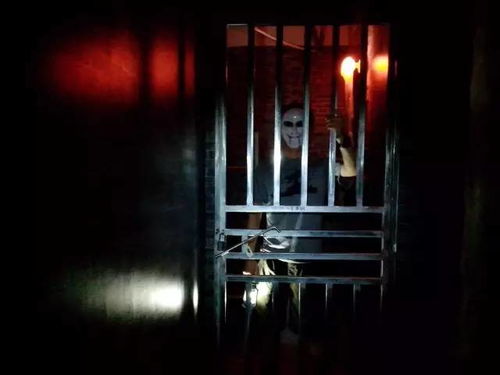 密室逃脱电影，密闭空间里的惊悚与智慧盛宴