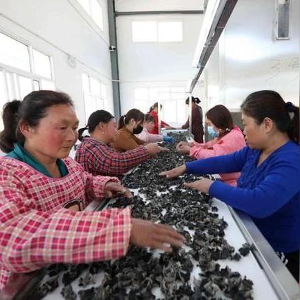 探索《我的世界》建筑奇迹：大型建筑改造秘籍大揭秘