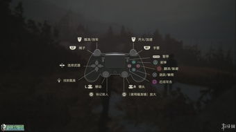 《神秘海域4》全攻略揭秘:深度解析全收集流程攻略秘籍 《神秘海域4》全攻略揭秘:深度解析全收集流程攻略秘籍